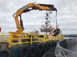 Salmon Farm Work