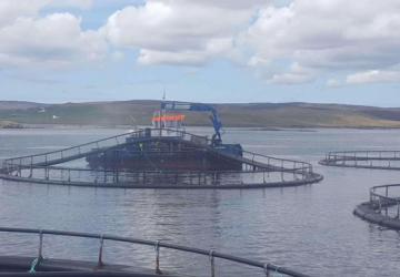 BK Marjorie cleaning salmon cages for Scottish Seafarms